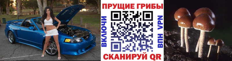 продажа наркотиков  Кимры  Псилоцибиновые грибы мицелий 