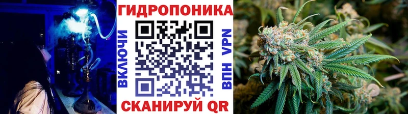Марихуана Amnesia  Кимры 